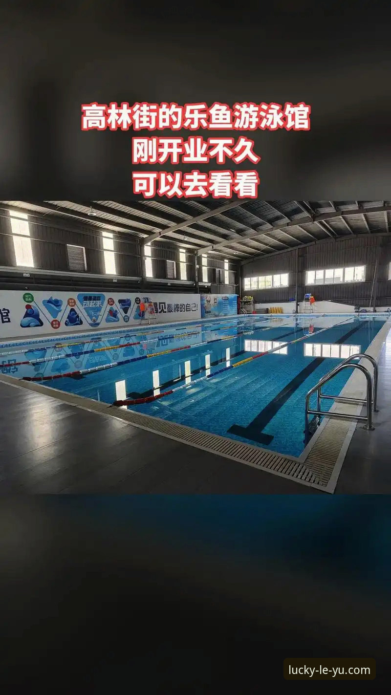 乐鱼体育版本更新最新动态：2025年APP升级带来哪些惊喜？老用户实测分享